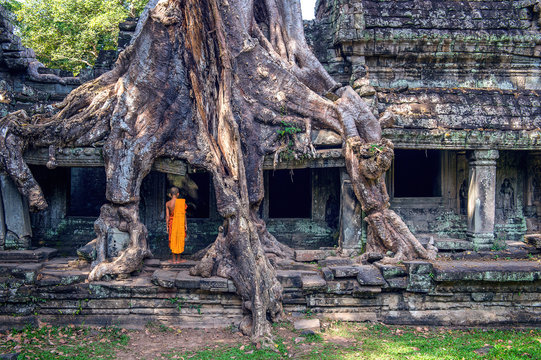 The monks and trees growing out of Ta Prohm temple, Angkor Wat i