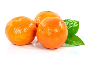 Fresh and ripe tangerines