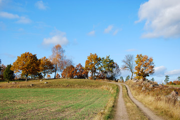 Tracks into a rural landscape
