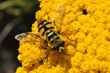 Macro time