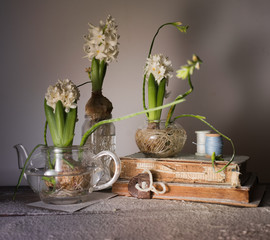 still life with three hyacinths in glass vases. old books, spools of thread