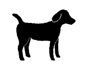 pies ikona © robert6666