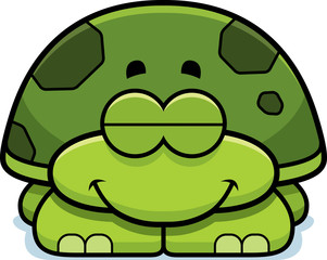 Sleeping Little Turtle