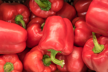Closeup of a stack of red bell peppers on a vegetable market. Ecologic grown paprika fruits.
