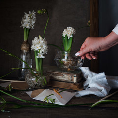 three white hyacinth and freesia in transparent vases, a female hand on dark background