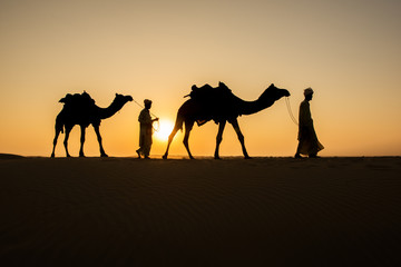 Fototapeta na wymiar Rajasthan travel background - two indian cameleers (camel drivers) with camels silhouettes in dunes of Thar desert on sunset. Jaisalmer, Rajasthan, India