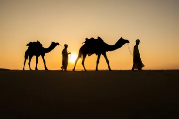 Papier Peint photo autocollant Chameau Arrière-plan de voyage au Rajasthan - deux chameliers indiens (chamiers) avec des silhouettes de chameaux dans les dunes du désert de Thar au coucher du soleil. Jaisalmer, Rajasthan, Inde