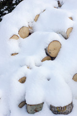 Firewood covered by snow