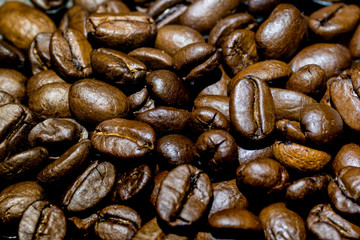 Closeup of coffee beans, whole roasted in dark brown golden color