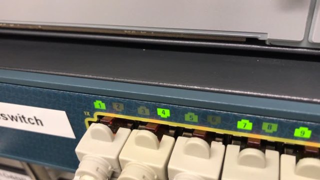 Netzwerkkabel an einem Netzwerk Switch