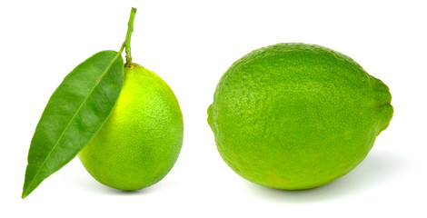 Lime isolated on white background