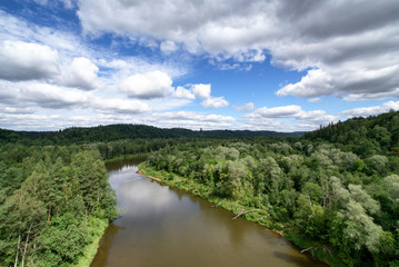 Fototapeta premium The Gauja River. Sigulda National Park, Latvia