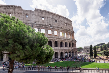 Fototapeta na wymiar Coliseum. Rome, Italy
