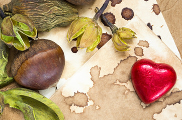A background with a fresh raw chestnut, a chocolate heart and dried plants and place for your text.