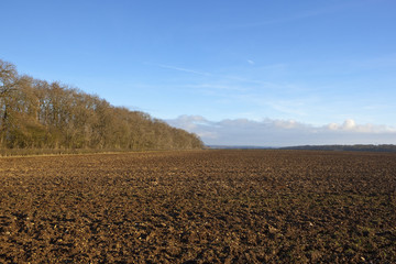 plow soil and woodland