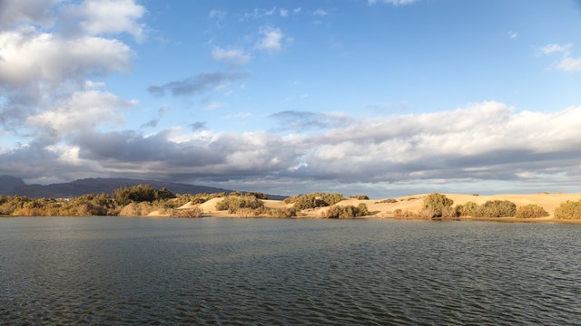 Pond (la charca) and dunes. Maspalomas, Gran Canaria, Spain