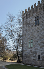 Guimaraes Castle in spring, Portugal
