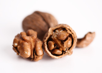 Walnut