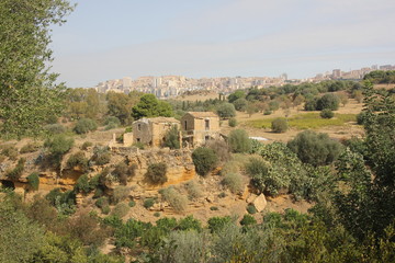 Valle dei templi