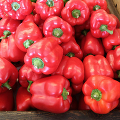Red Bell Pepper, organic farm display