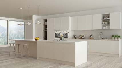 Scandinavian white kitchen with wooden and white details, minima