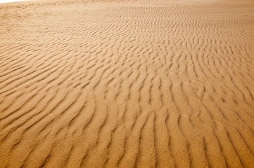 Golden sun lit sand with wind blown ripples pattern texture background