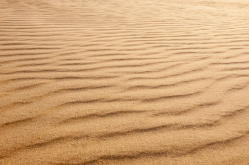 Golden sun lit sand with wind blown ripples pattern texture background