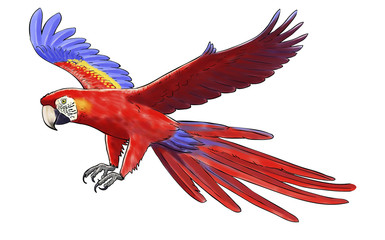Digital watercolor of a macaw © nicolasprimola