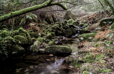 Calm in HDR