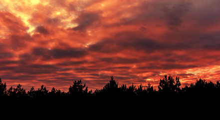 Fiery orange colorful sunset sky.