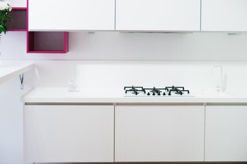 classic white kitchen interior in details