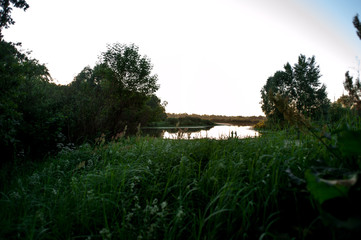 Obraz premium background of bright green grass
