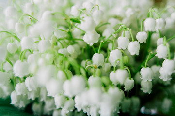 Blossoming lily of the valley in the forest. Lily-of-the-valley. Convallaria majalis.Spring background. Floral background.Selective focus.