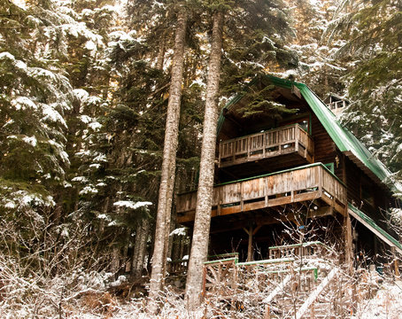 Ski cabin in pine forest