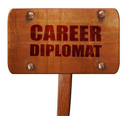 career diplomat, 3D rendering, text on wooden sign