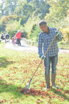 Man raking dead leaves
