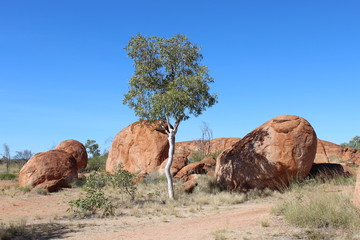 Landschaft bei den Devils Marbles in Australien