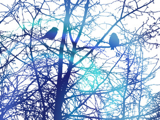 Nature background. Frozen branches of trees without leaves. Winter.  Love couple of birds looking each  other. Cold.