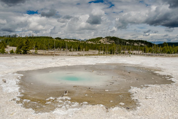 Yellowstone National Park