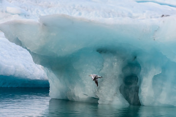 Drifting ice blocks as a result of climate change © Joe McUbed
