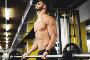 Fototapeta na wymiar Muscular bodybuilder lifting weights at the gym. 