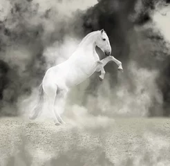 Stoff pro Meter White reared horse in the light smoke on dark background © ashva