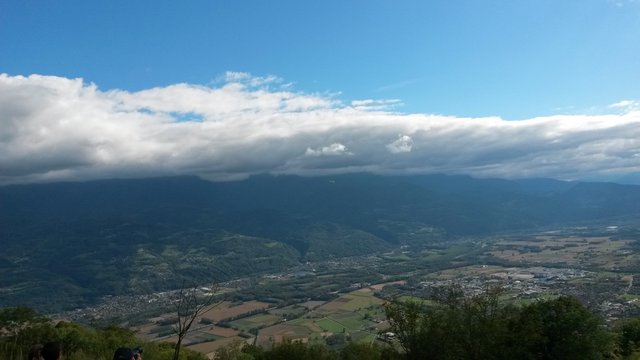Coupe icare