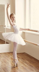 Young beautiful ballerina posing in dance studio