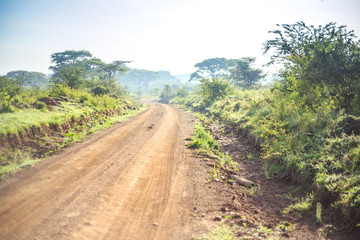 Fototapeta na wymiar African landscape - dirt road through savanna, Kenya