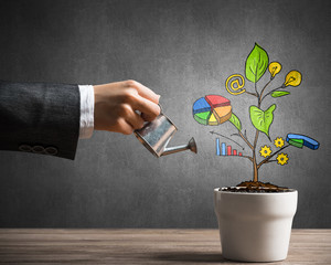 Drawn income tree in white pot for business investment savings and making money
