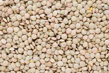 Lentils pulse legumes vegetables vegetarian food background.