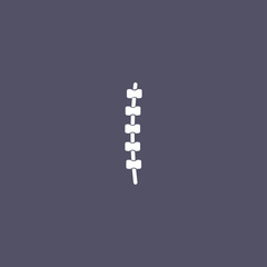 spine bones icon