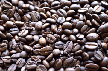 Coffee beans closeup