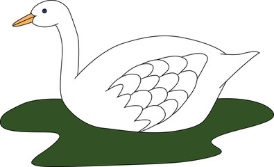 illustration of beautiful white swan swimming in green lake